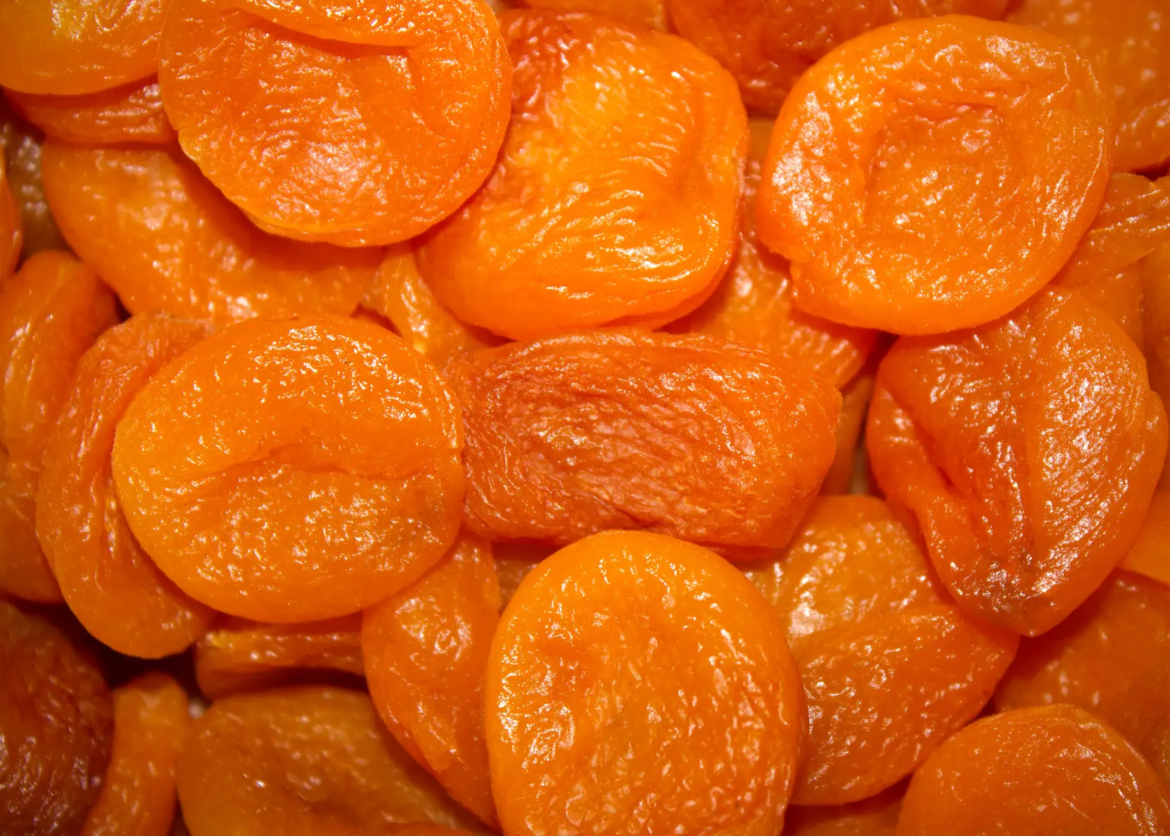 Malatya İhracatlık Kayısı Alımı