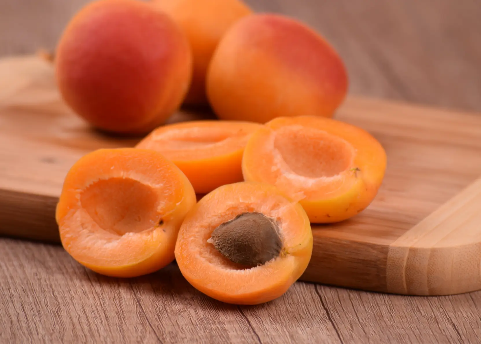 Malatya Kayısı Üreticileri ve Tedarikçileri