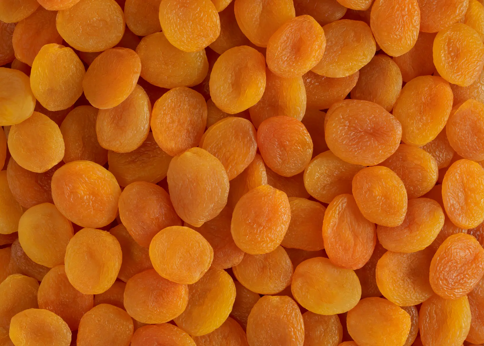 Malatya Endüstriyel Kayısı Satışı