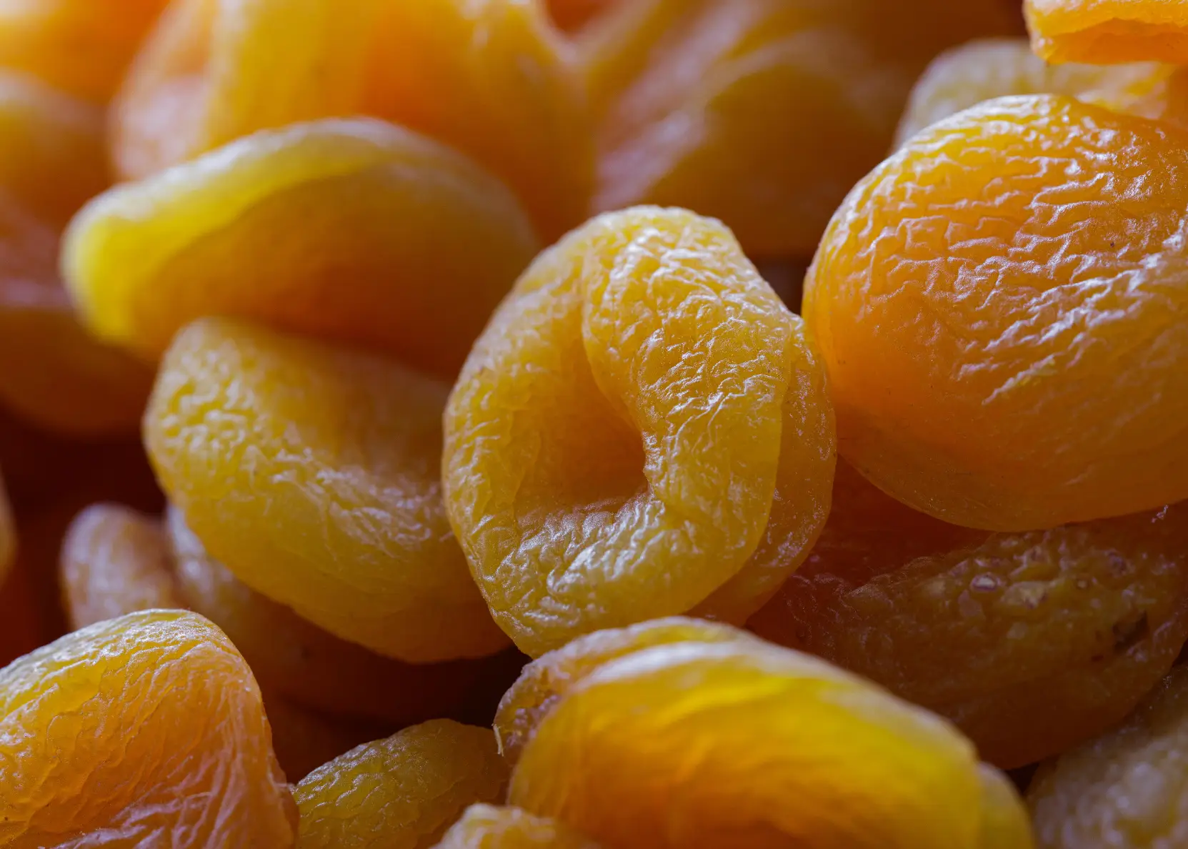 Malatya Kayısı Toptancısı