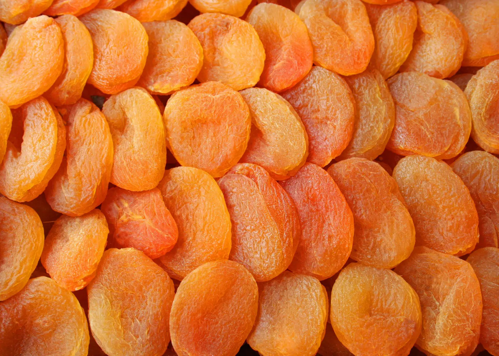 Malatya Toptan Kayısı Alımı