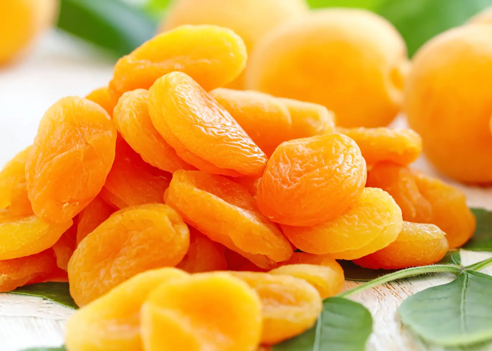 Malatya Gıda Firmalarına Toptan Kayısı