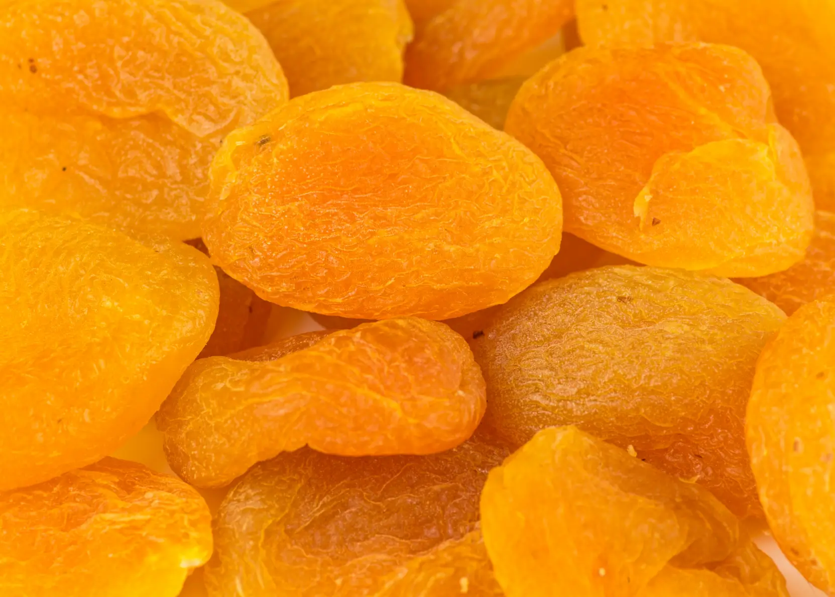 Malatya Kayısı Üretimi ve Satışı